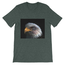 American Eagle t-shirt