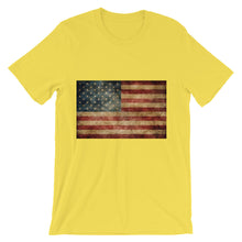 Antique American Flag t-shirt
