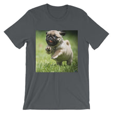 Pug t-shirt