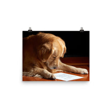 Dog Reading poster