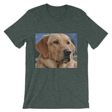 Dog t-shirt