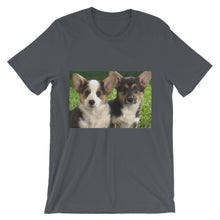 Corgis t-shirt