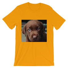 Puppy t-shirt