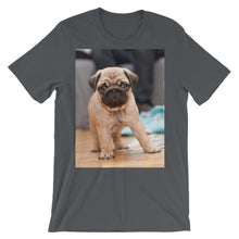 Pug t-shirt
