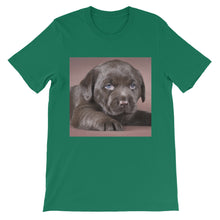 Puppy t-shirt