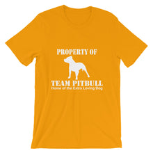Property of Team Pitbull t-shirt