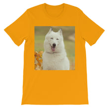 Dog t-shirt