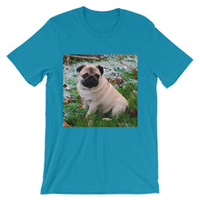 Pug t-shirt
