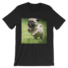 Pug t-shirt