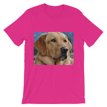 Dog t-shirt