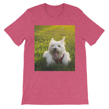 Dog t-shirt