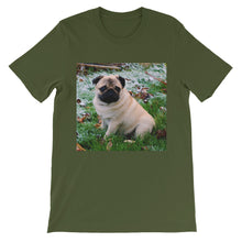 Pug t-shirt
