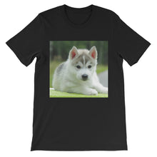 Puppy t-shirt