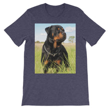 Rottweiler t-shirt