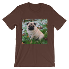 Pug t-shirt