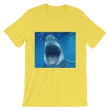 Shark t-shirt