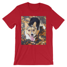 Corgi t-shirt