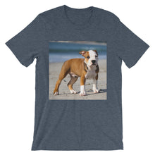 Dog t-shirt