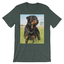 Rottweiler t-shirt