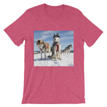 Huskies t-shirt