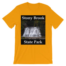 Stony Brook t-shirt