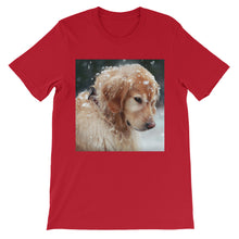 Dog t-shirt