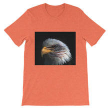 American Eagle t-shirt