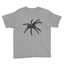 Spider Youth Short Sleeve T-Shirt