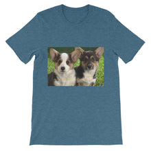 Corgis t-shirt