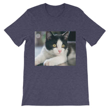 Kitten t-shirt
