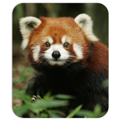 Red Panda Mousepad