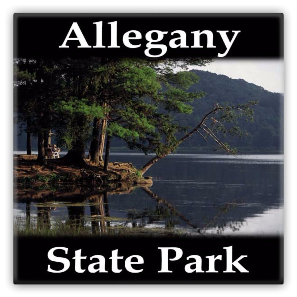 Allegany State Park Metal Magnet