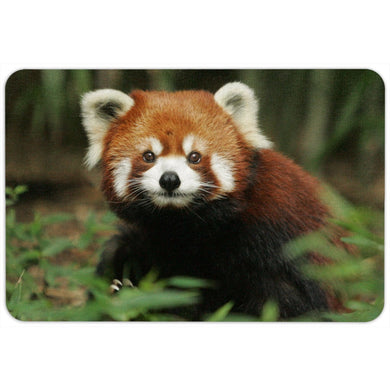 Red Panda Floor Mat