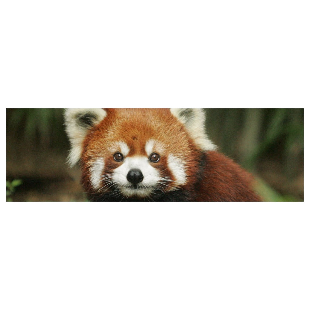 Red Panda Yoga Mat