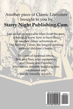 The Bobbsey Twins at Home - Starry Night Publishing