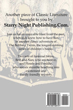 The Bobbsey Twins at the County Fair - Starry Night Publishing