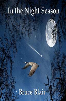 In the Night Season - Starry Night Publishing
