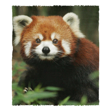 Red Panda Chenille Rug