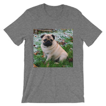 Pug t-shirt