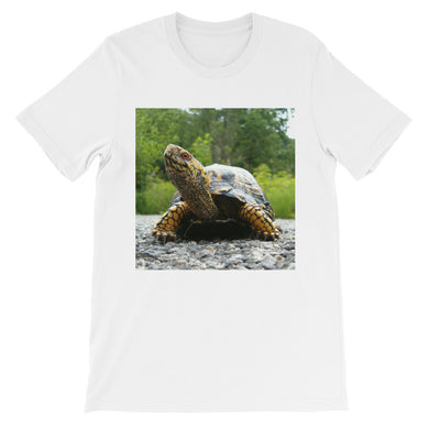 Turtle t-shirt