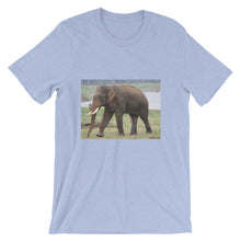 Endangered Species t-shirt