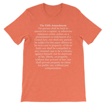 Fifth Amendment t-shirt