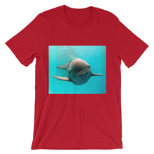 Endangered Species t-shirt