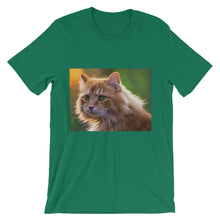 Cat t-shirt