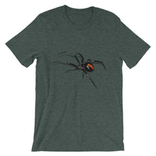 Black Widow Spider t-shirt