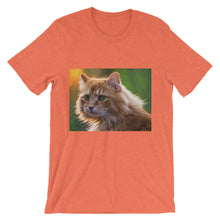 Cat t-shirt