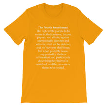 Fourth Amendment t-shirt