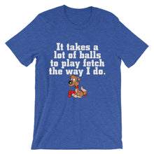 It Takes a Lot of Balls to Play Fetch t-shirt