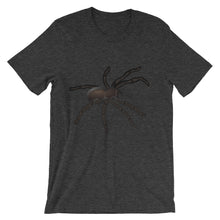 Tarantula t-shirt