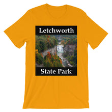 Letchworth t-shirt